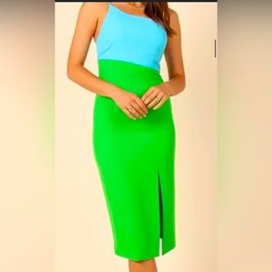 Green and Blue Petal and Pup dress